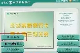 墨西哥卓柏卡布拉神秘失踪深度调查：通过安全防护发现红外线检测|2025年度十大未解之谜（非物质文化遗产名录2025）
