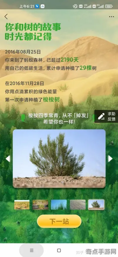 2025版本更新深度追踪»蚂蚁森林赛季机制解读性能对比评测