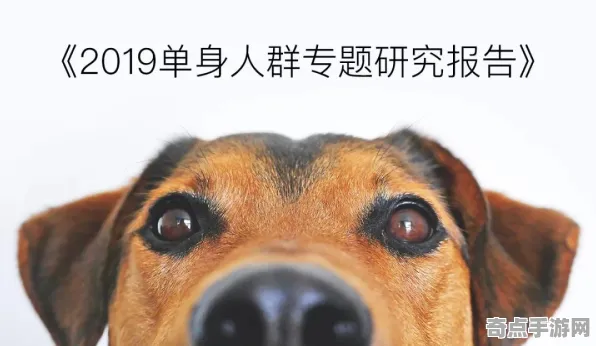 《动物森友会》宠物培养-实时更新-每日热修-安卓/iOS-模拟经营