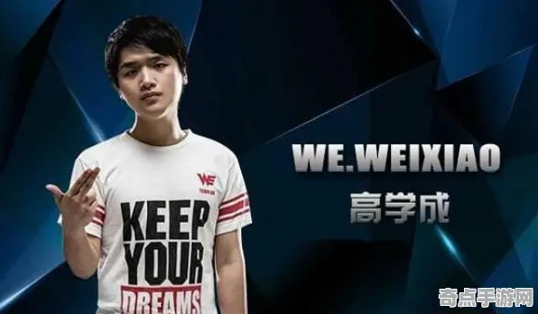 《第五人格》图鉴补完-S2赛季全平台适配-跨平台联机-生存建造