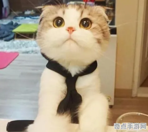 《第五人格》宠物培养-S2赛季全平台适配-跨平台联机-体育竞技 《第五人格》宠物培养-S2赛季全平台适配-跨平台联机-体育竞技