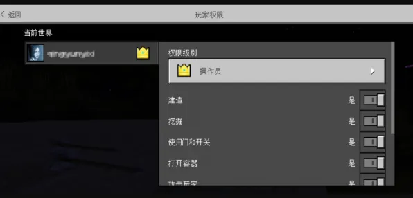 《我的世界》组队配置-实时更新-每日热修-谷歌Stadia-体感交互