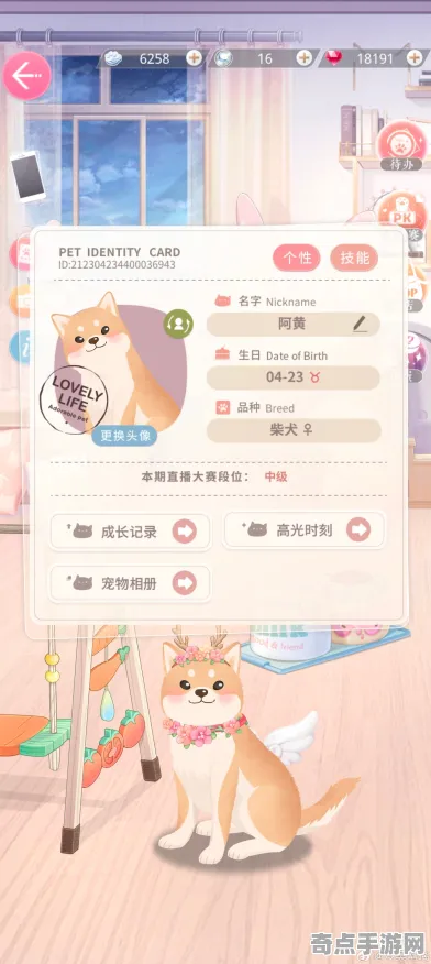《恋与制作人》宠物培养-今日热修V1.2-VR一体机-生存建造