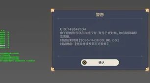 《原神》反作弊系统-2025春季最新优化-Vision Pro适配-生存建造-宠物培养指南