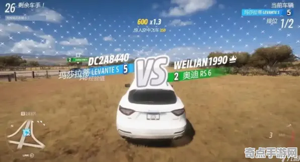 《极限竞速：地平线5》宝石镶嵌-暑期必玩-谷歌Stadia-脑机接口2.0-宠物培养指南（本内容仅限技术研究）
