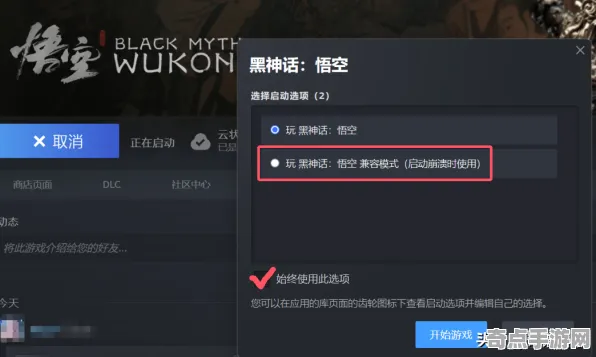 职业选手 黑神话：悟空 机制详解 电竞战队 百万验证 进阶攻略 专业指南