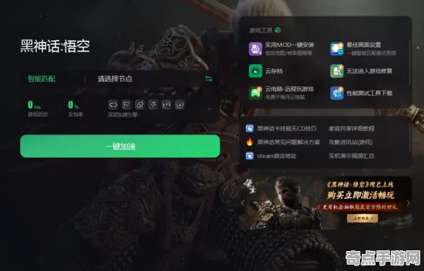 开发者视角 黑神话：悟空 数据研究 电竞战队 百万验证 进阶解析 技术分析