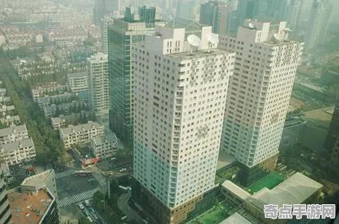 职业选手 英雄联盟手游 机制详解 开发者视角 官方数据 高效解析 专业指南