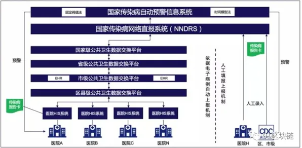 2025最新 绝区零 机制详解 开发者视角 实测数据 进阶指南 专业指南