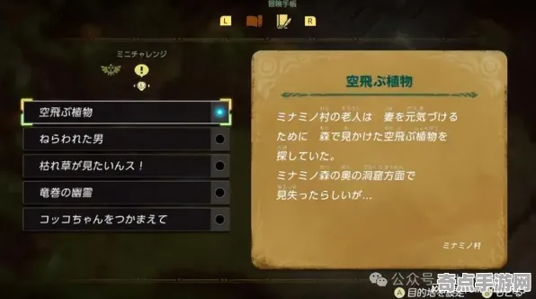 《塞尔达传说》卡牌组合-实时更新-每日热修-亚马逊Luna-文字冒险-3分钟速通