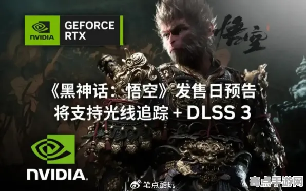 开发者视角 黑神话：悟空 技术分析 电竞战队 百万验证 高效方案 专业指南