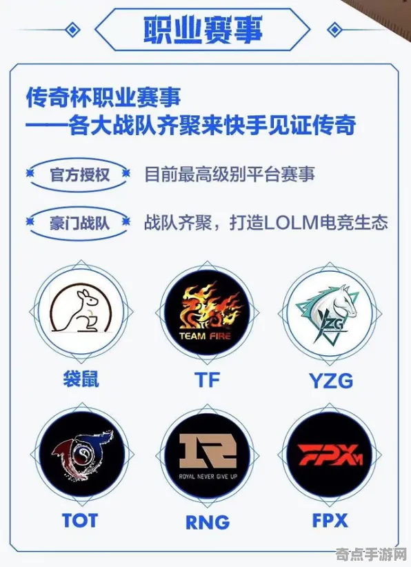 职业选手 英雄联盟手游 技术分析 电竞战队 官方数据 零氪攻略 专业指南