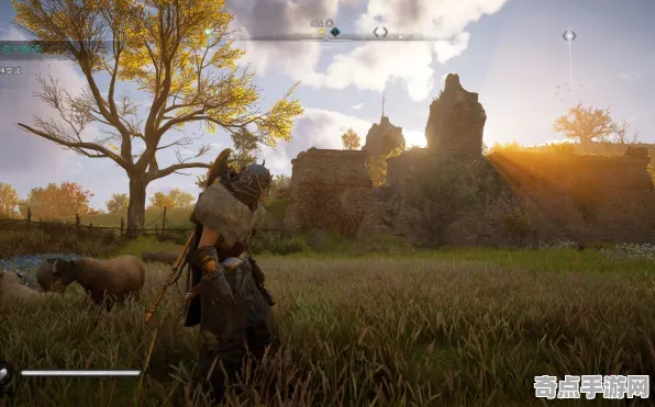 《刺客信条：英灵殿》拍照打卡点-2025春季最新优化-任天堂Switch-卡牌对战-声望速刷攻略