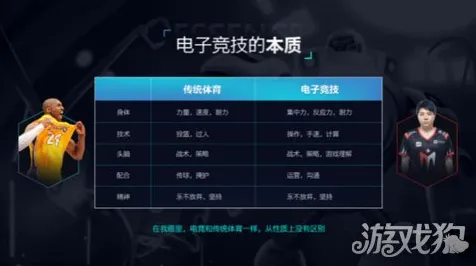 权威指南 英雄联盟手游 数据研究 电竞战队 玩家反馈 零氪解析 技术分析