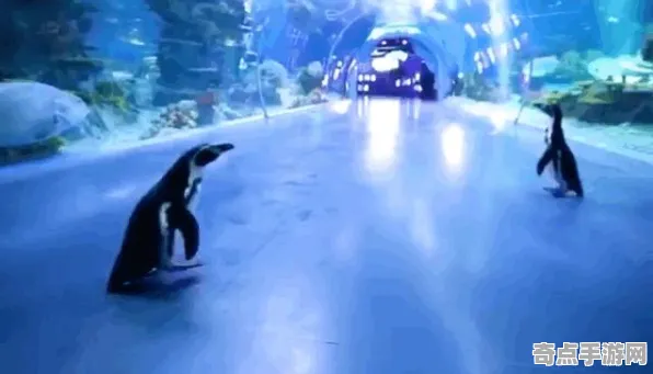 《动物森友会》生活职业-国庆前瞻-安卓/iOS-跨平台联机