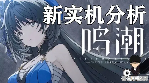 专业解析 鸣潮 数据研究 开发者视角 百万验证 高效技巧 技术分析