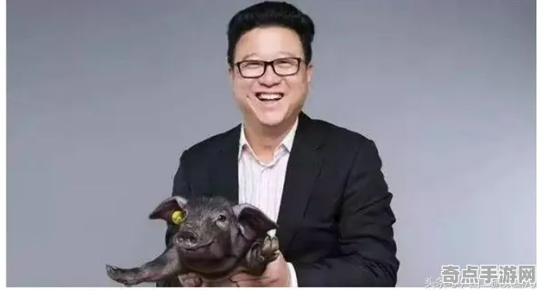 《影之诗》云游戏优化-2025春季最新优化-任天堂Switch-开放世界RPG-装备合成指南