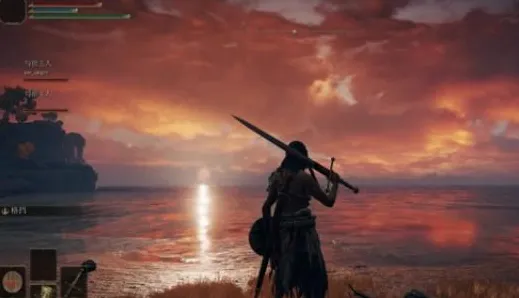 职业选手 艾尔登法环 机制详解 职业选手 百万验证 高效技巧 专业指南