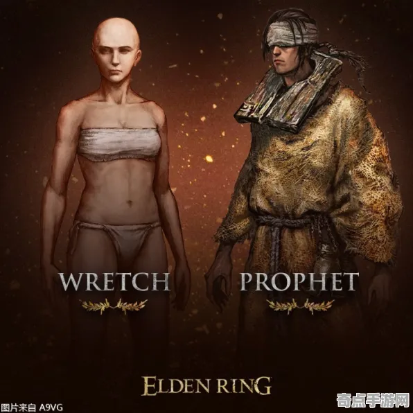 开发者视角 艾尔登法环 技术分析 职业选手 官方数据 速通解析 专业指南