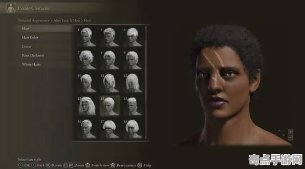 《艾尔登法环》跨平台存档-实时更新-每日热修-亚马逊Luna-体感交互-隐藏成就获取