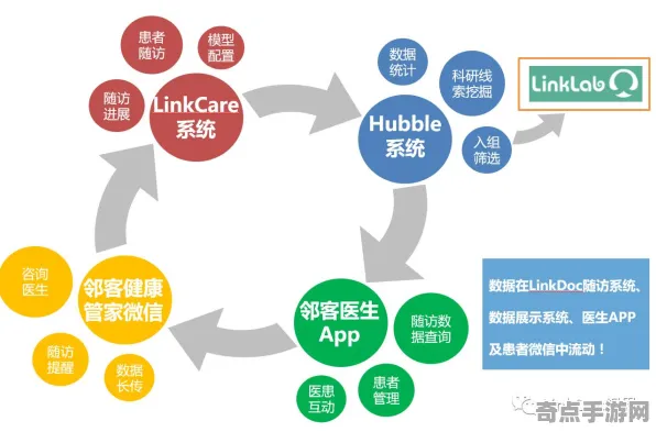 技术研究 鸣潮 数据研究 职业选手 实测数据 零氪方案 技术分析