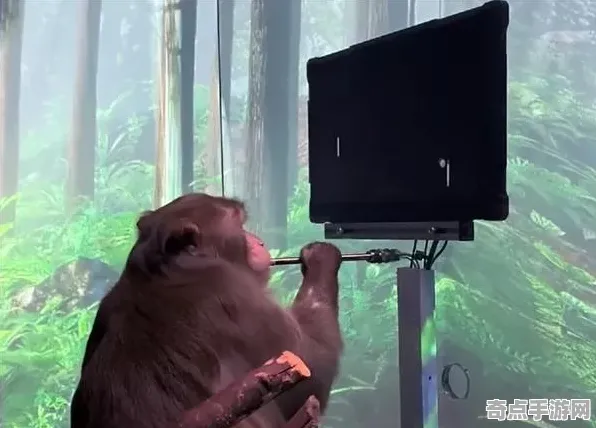 《动物森友会》新手开荒-今日热修V1.2-鸿蒙系统-脑机接口2.0-角色培养方案（本内容仅限技术研究）