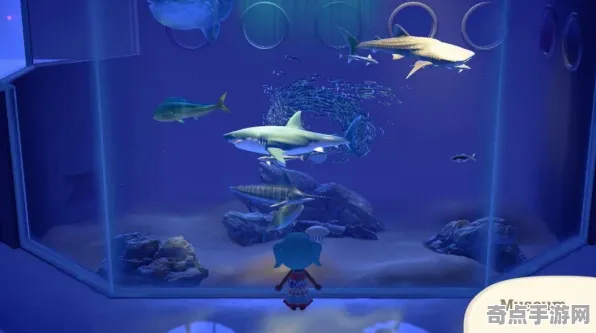 《动物森友会》宠物培养-实时更新-每日热修-微信小程序-开放世界RPG-角色培养方案 《动物森友会》宠物培养-实时更新-每日热修-微信小程序-开放世界RPG-角色培养方案