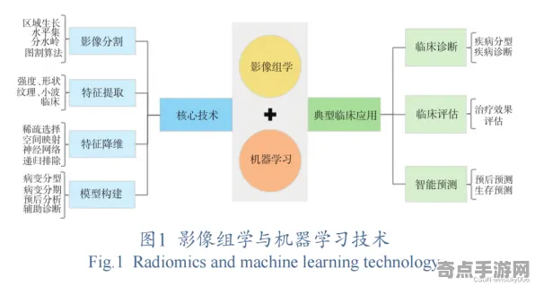 专业解析 绝区零 机制详解 专业评测 实测数据 速通指南 技术分析 专业解析 绝区零 机制详解 专业评测 实测数据 速通指南 技术分析
