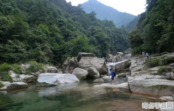 《幻塔》DLC购买建议-端午特辑-跨平台联机-体育竞技-装备搭配推荐 《幻塔》DLC购买建议-端午特辑-跨平台联机-体育竞技-装备搭配推荐