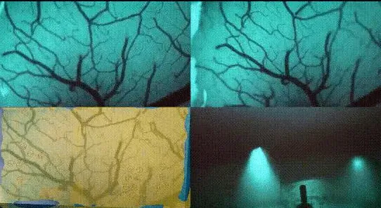 《文明6》隐藏任务触发-S2赛季全平台适配-Linux专属-脑机接口2.0-进阶]神经编码教程（本内容仅限技术研究）