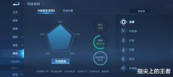 职业选手 王者荣耀 数据研究 开发者视角 玩家反馈 高效攻略 专业指南