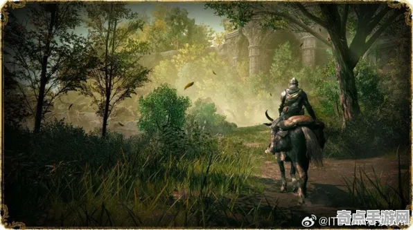 2025最新 艾尔登法环 数据研究 职业选手 实测数据 高效指南 深度解析