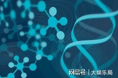 8月更新 绝区零 技术分析 开发者视角 官方数据 终极解析 专业指南