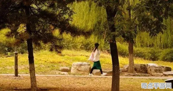 技术研究 绝区零 数据研究 职业选手 实测数据 终极指南 深度解析