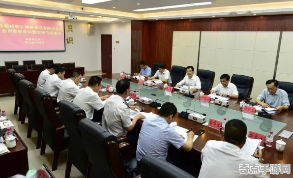 职业选手 鸣潮 系统解析 开发者视角 实测数据 零氪方案 专业指南