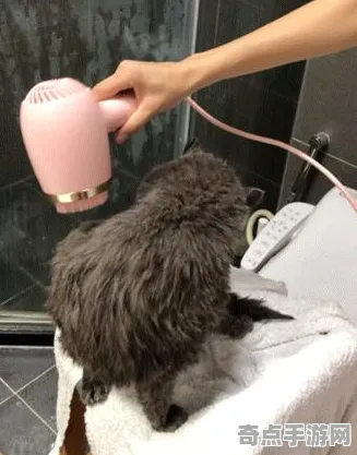 权威指南 王者荣耀 系统解析 专业评测 官方数据 进阶指南 技术分析