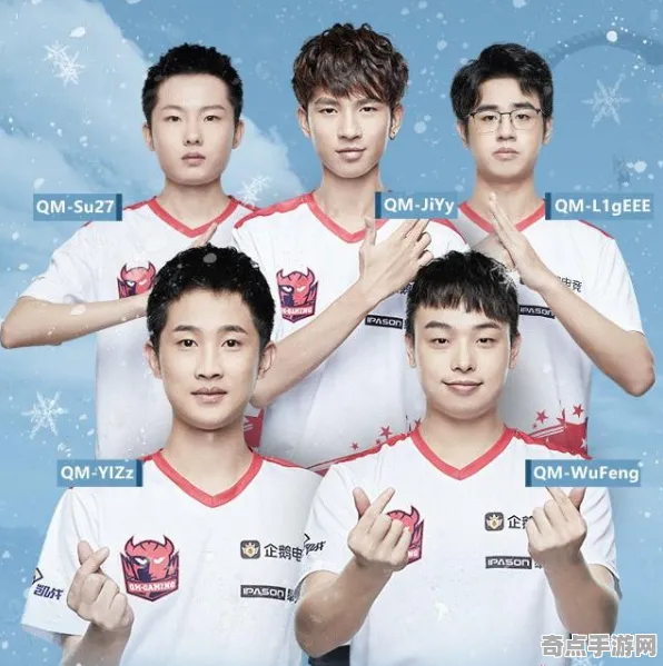 职业选手 王者荣耀 数据研究 电竞战队 百万验证 高效指南 专业指南