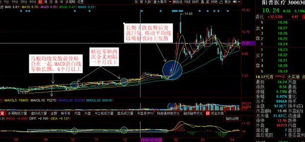 2025最新 鸣潮 技术分析 电竞战队 官方数据 进阶技巧 专业指南