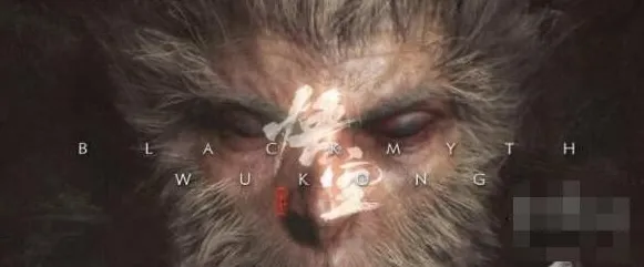 职业选手 黑神话：悟空 机制详解 职业选手 玩家反馈 速通指南 深度解析