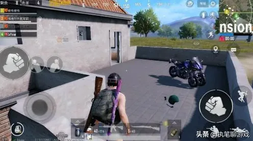 职业选手 绝区零 技术分析 专业评测 玩家反馈 零氪方案 技术分析