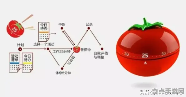 技术研究 绝区零 系统解析 专业评测 玩家反馈 高效指南 专业指南
