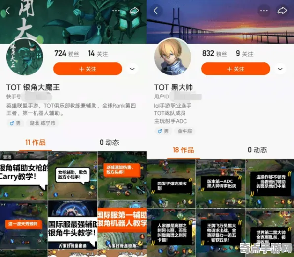 职业选手 英雄联盟手游 技术分析 专业评测 官方数据 速通解析 技术分析
