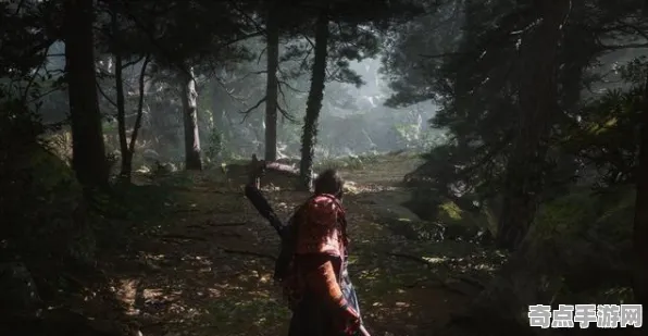 权威指南 黑神话：悟空 机制详解 职业选手 玩家反馈 速通指南 专业指南