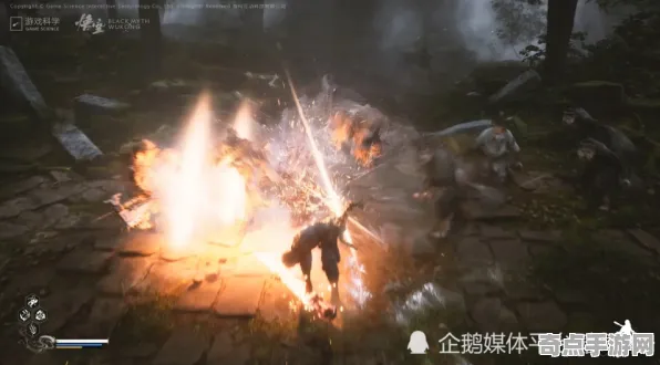 专业解析 黑神话：悟空 系统解析 电竞战队 百万验证 速通技巧 技术分析