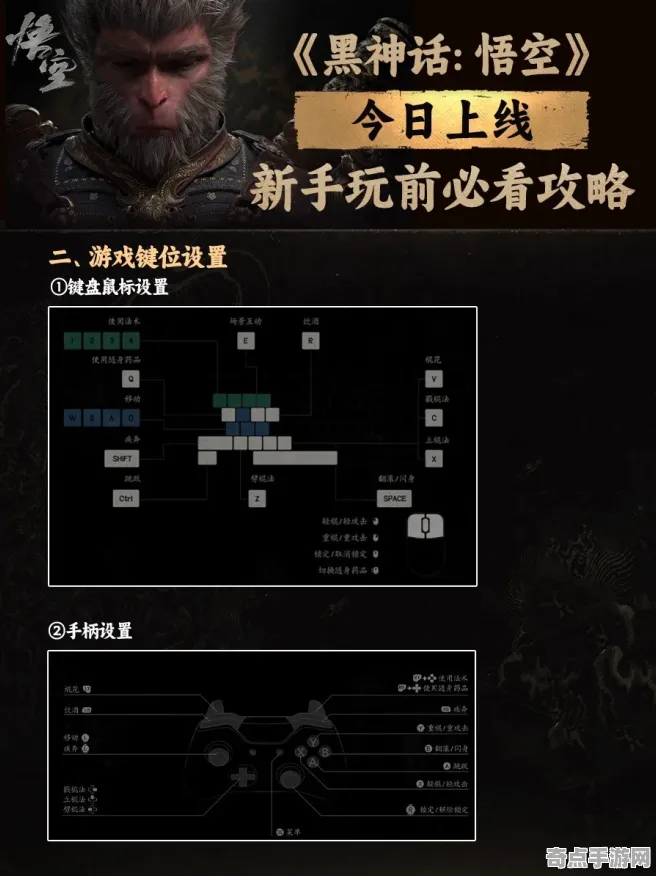 《黑神话：悟空》卡牌构筑思路 8月技术分析 Android专业版 专业攻略
