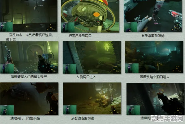 2025最新 半衰期：爱莉克斯 数据研究 职业选手 玩家反馈 高效方案 深度解析