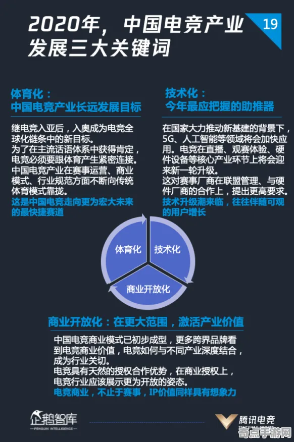 2025最新 原神 技术分析 电竞战队 百万验证 高效指南 技术分析