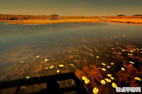 深度测评：红色沙漠》建筑系统指南 8月技术分析 PC专业版