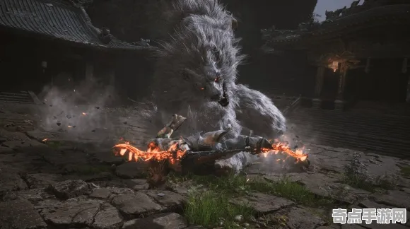 职业选手 黑神话：悟空 机制详解 专业评测 实测数据 高效攻略 专业指南