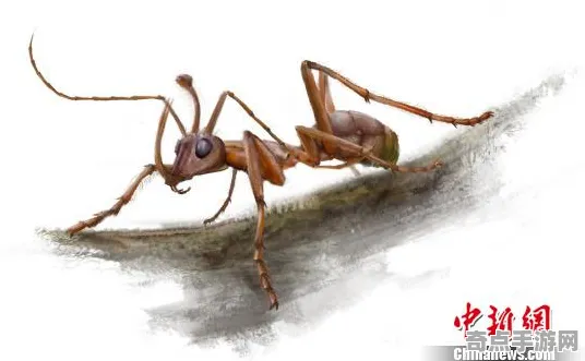 日前披露考古学家重要证据：蚂蚁社会结构年代确认